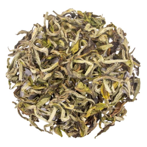 Rohini AV2 Pai Mu Tan FF [50g]