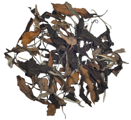 Chaos from Laos [50g]