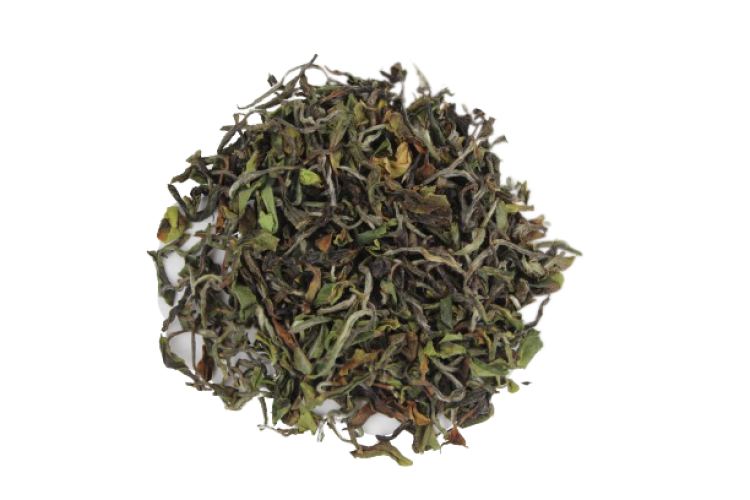 Rohini Spring Blossom EX-13 [100g]