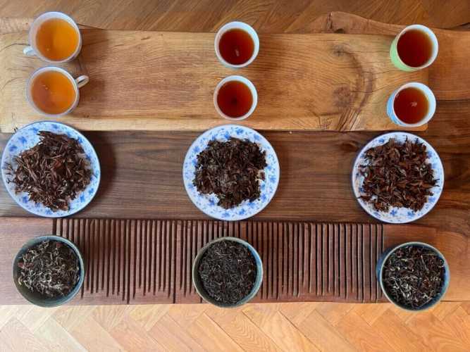 Ochutnávkový balíček Second Flushů z Darjeelingu - 3x33g