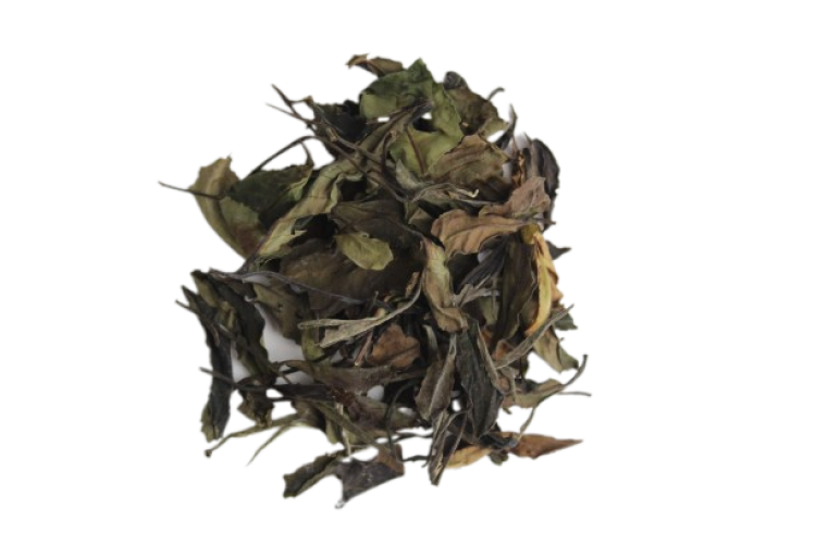 Malawi Thyolo Peony 2022 [50g]