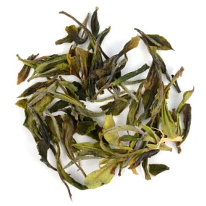 Wild Gruzie White FF2023 [100g]