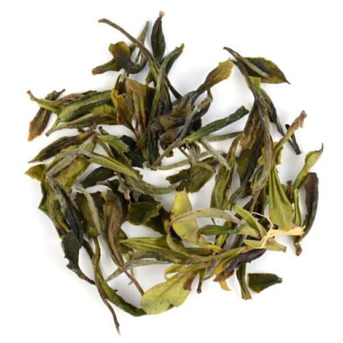 Wild Gruzie White FF2023 [100g]