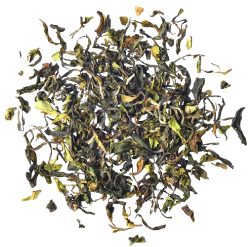 Nurbong Clonal Delight EX-17 FF 2025 [500g]